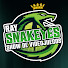 fUq8Hwnfj8Y-channel-avatar-Ray Snakeyes