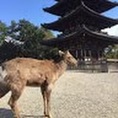 ぺーの競馬検証動画