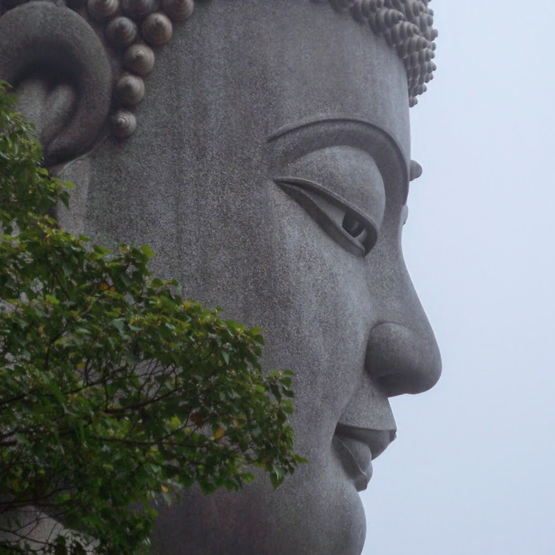 Hatha Yoga Taipei YouTube 頻道頭像