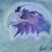@2014achavez's avatar