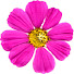 frzlwL-xwAM-channel-avatar-Courtney