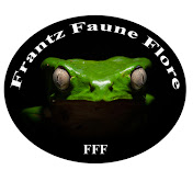 Frantz G