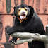WSpg5afFC34-channel-avatar-Discovery Animals