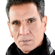 السيد الفضالى