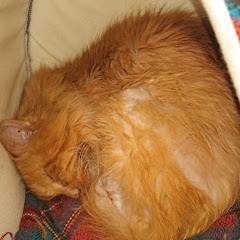 . 兎と戦車 (‪兎と戦車‬)