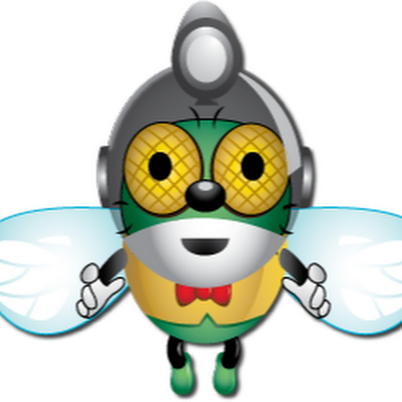 FlyKamVideo