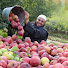 uY_ISfdT6as-channel-avatar-Musaed Alateeqi مساعد العتيقي