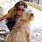 @dianamoragas1372's avatar