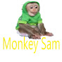 Monkey sam