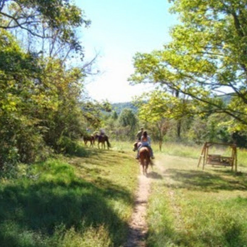 East Fork Stables