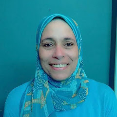 Dr Hanaa Assil - Chemistry Teacher net worth