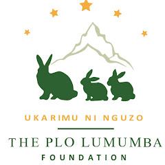 The PLO Lumumba Foundation Avatar