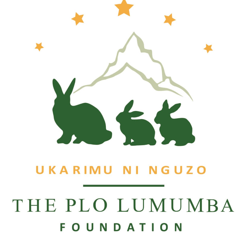 The PLO Lumumba Foundation Logo