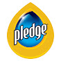 Pledge U.S. logo