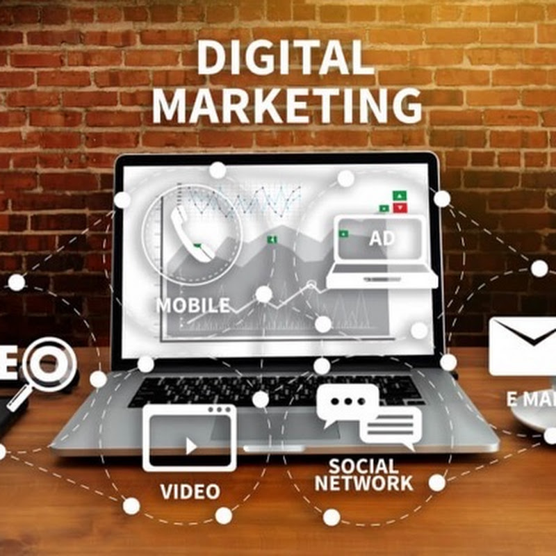 Social Fly Web
