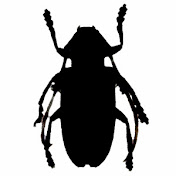 philozei