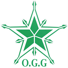 OCEAN GATE INTERNATIONAL GROUP LIMITED