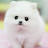@송대성-x5i