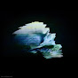 DISPLACE Avatar
