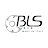 BLS Group Respiratory Protection Products