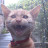 @unclelep482 Avatar