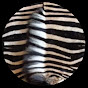 Zebra Skin Rugs logo