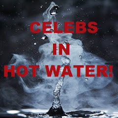Celebrities In Hot Water