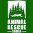Animal Rescue India