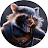 @Thunderspell81's avatar