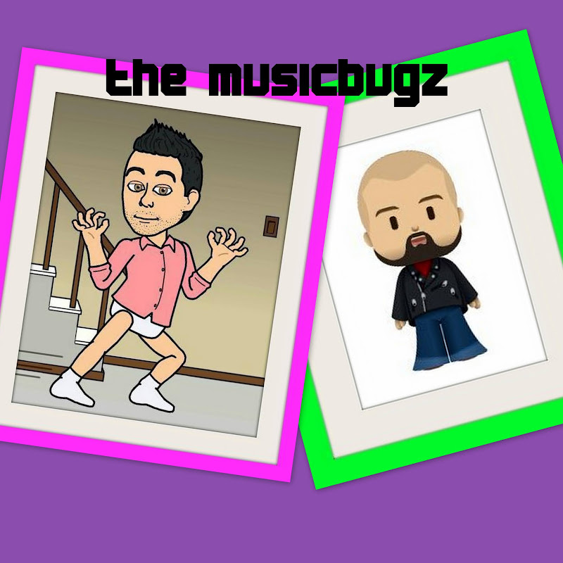 TheMusicBugz