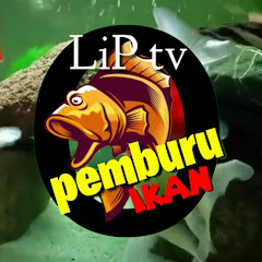Логотип каналу lip tv