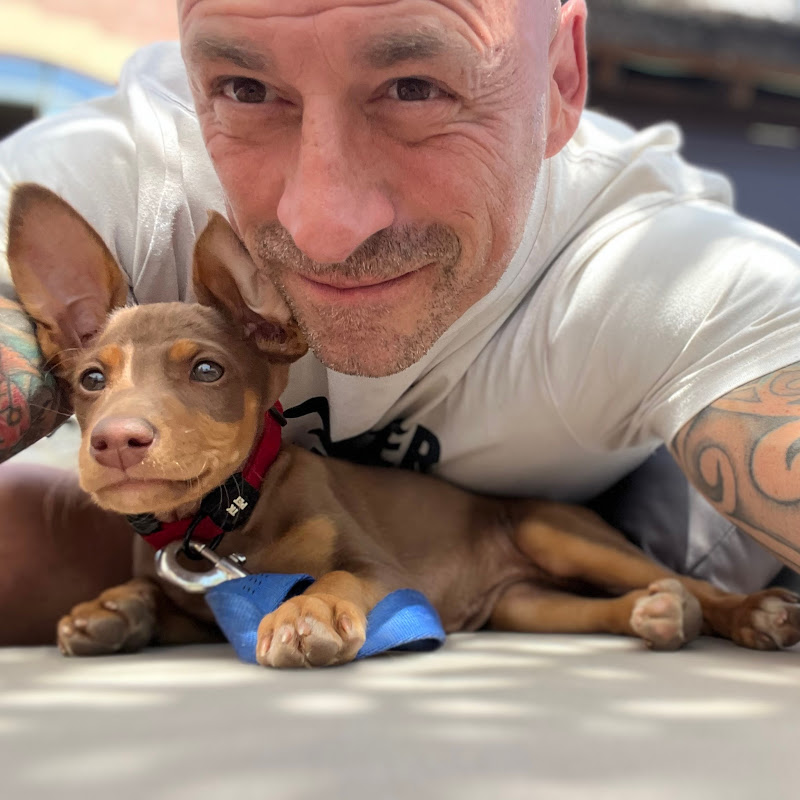 School of Canine Science