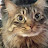 @silviacrazycatlady8461
