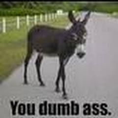 dumbassproductionsus