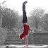 HDc6WzonG7A-channel-avatar-CaliProgress