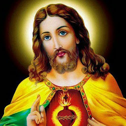 Amma Velankanni Matha photo
