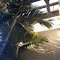 fbILuM_t1dk-channel-avatar-shirtstuckedin