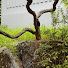 Channel Image