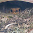 VJgbK5KNuL8-channel-avatar-The Small English Country Garden