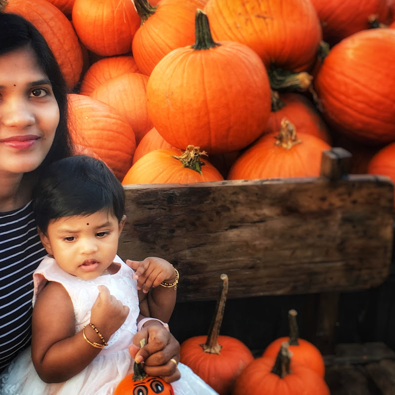 Yashwi Telugu vlogs -USA