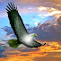 4emvHvKbeoI-channel-avatar-Aquila di Vetta