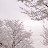 @그래요-h5m