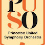 Princeton United Symphony Orchestra logo