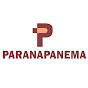Paranapanema S. A. logo
