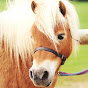 Shetland Pony Club logo