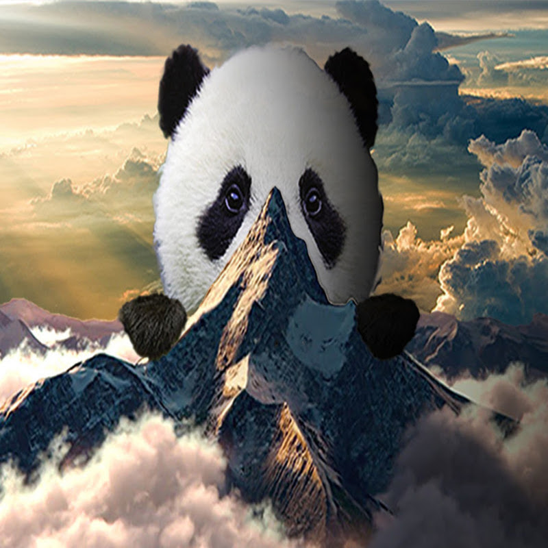 Pandamount