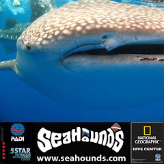 Sea Hounds