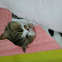 마모임