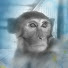 UJFlwIZHg34-channel-avatar-MonkeyManJoshua