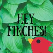 Hey Finches!